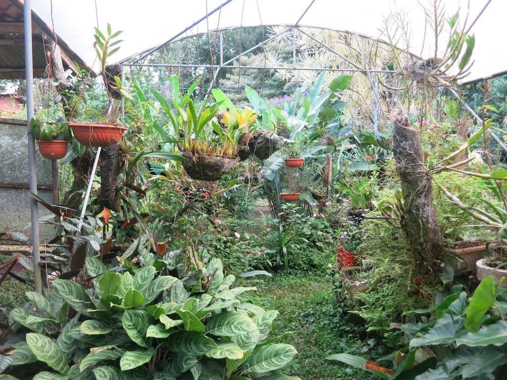 Finca Verde Lodge Bijagua Zewnętrze zdjęcie