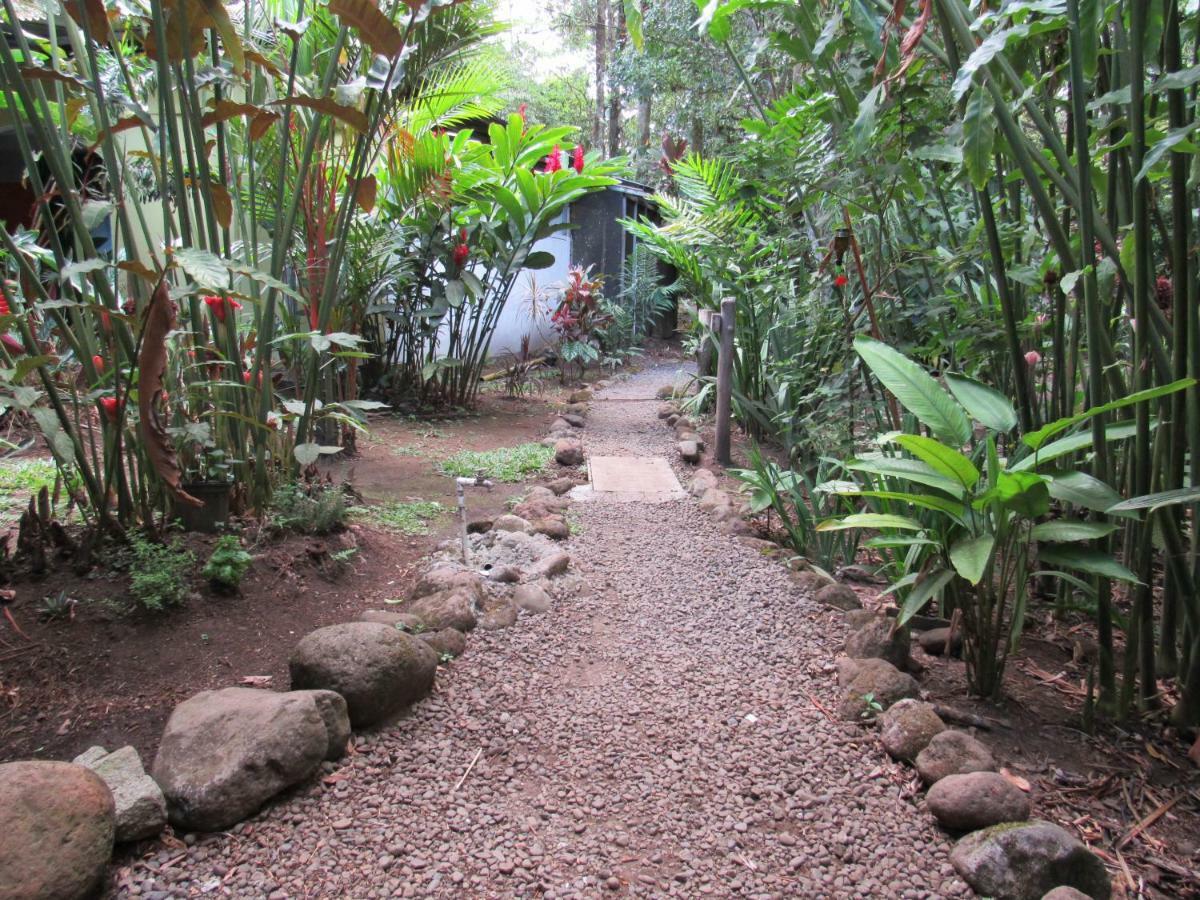 Finca Verde Lodge Bijagua Zewnętrze zdjęcie