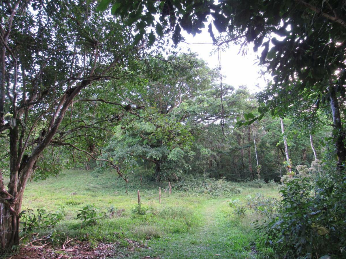 Finca Verde Lodge Bijagua Zewnętrze zdjęcie