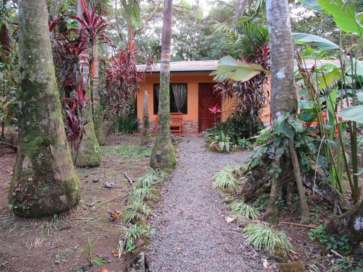 Finca Verde Lodge Bijagua Zewnętrze zdjęcie